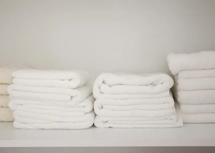 公寓 Mikaels 地拉那