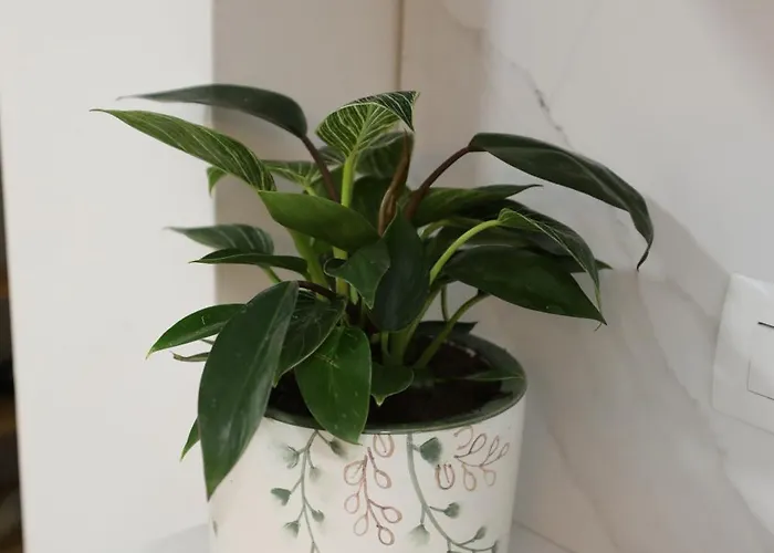 Mikaels Appartement *